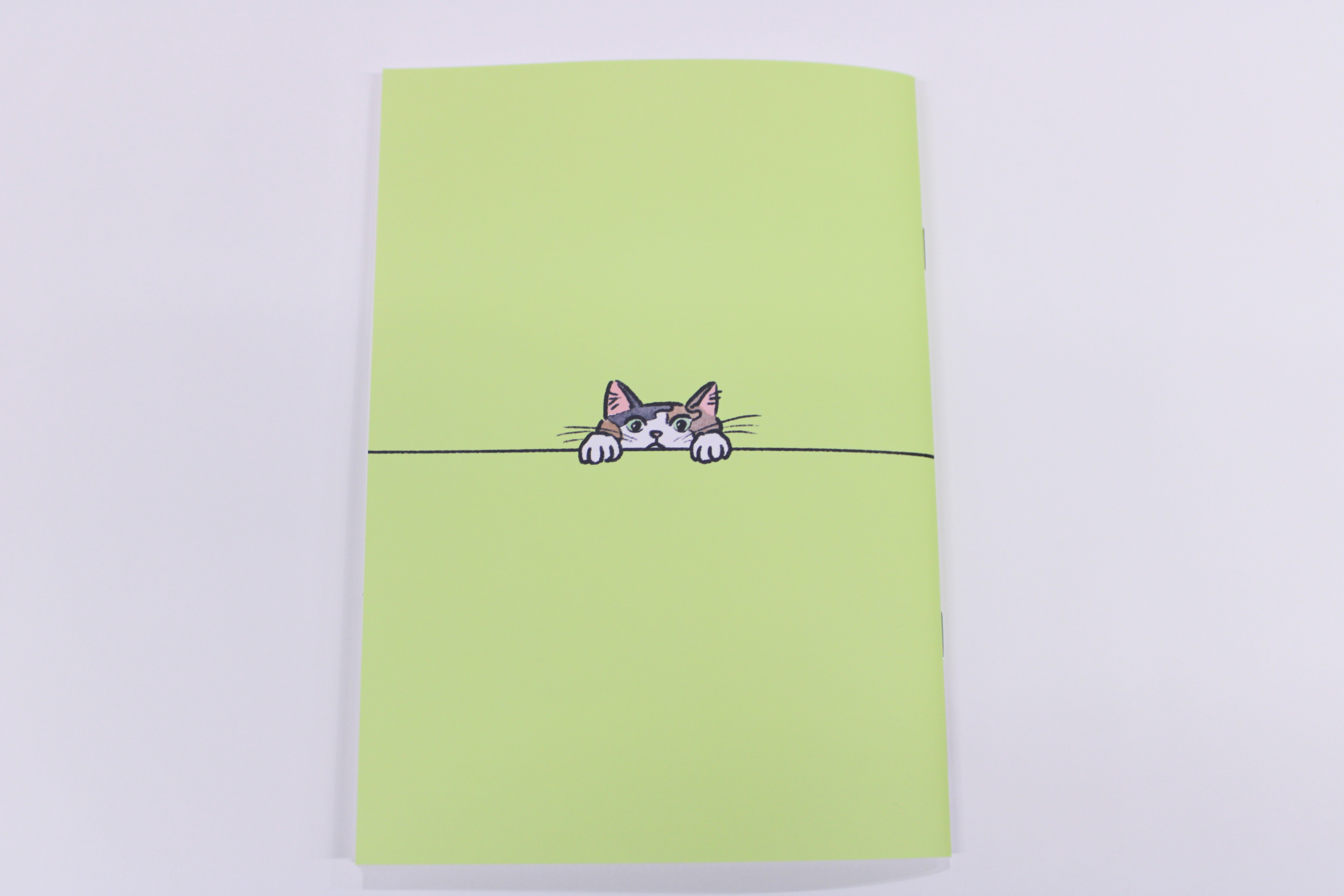 裏表紙にもこだわりが。何かを狙っている様子！？